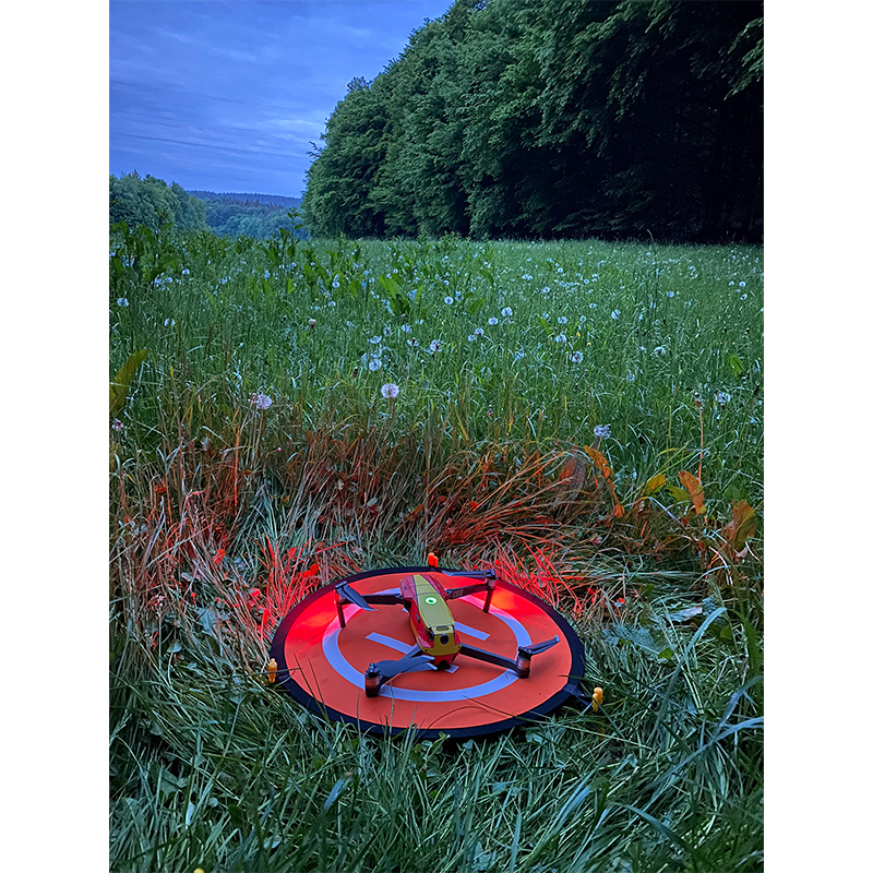 Drohne im >Gras